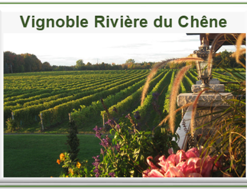 Reportage : Vignoble Rivière du Chêne – Lanaudière/Laval – Septembre 2022