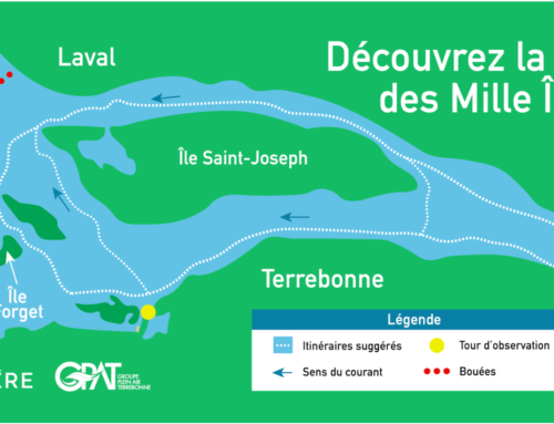 Reportage : Journée Plein Air – Lanaudière/Laval – Juin 2025
