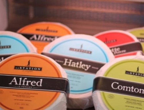 Reportage :  Fromagerie la Station de Compton – Estrie – Juillet 2025