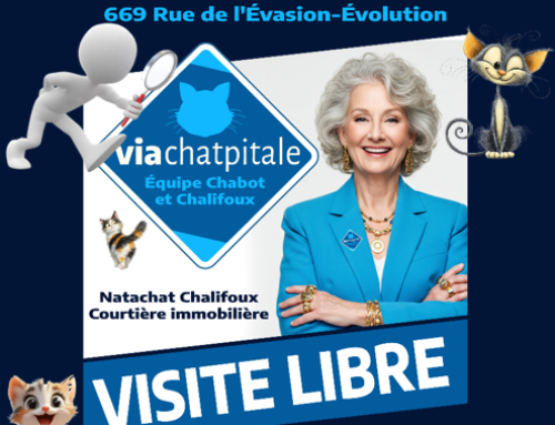 Reportage : Jeu d’évasion – Laurentides – Juin 2026